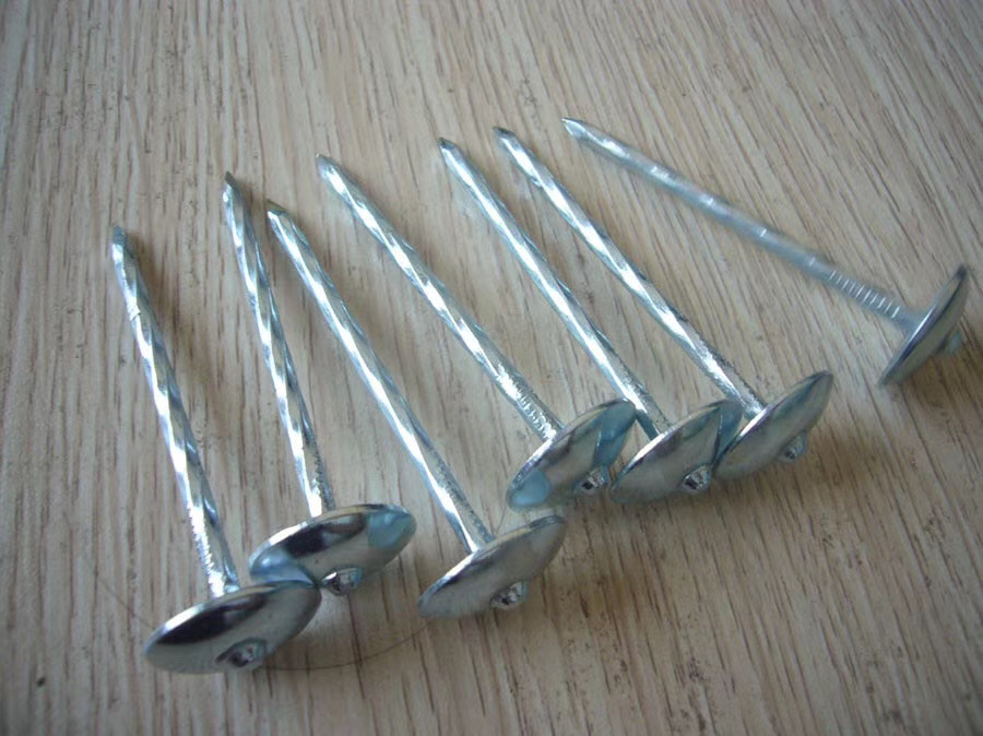 Roofing Nails