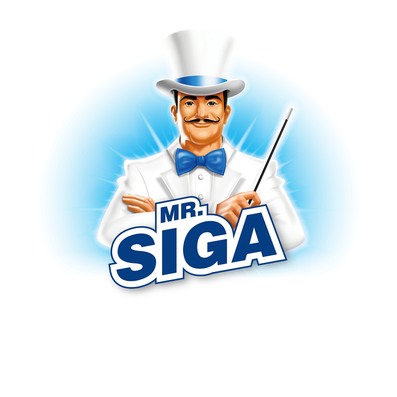 NINGBO DENLUX-SHIJIA HOME PRODUCTS MANUFACTURING CORP.