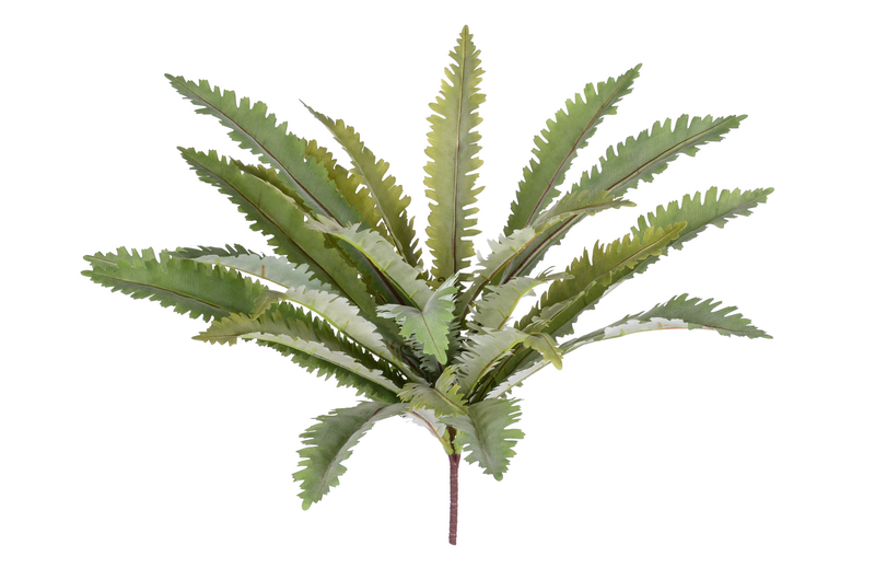4 stems green leaves bush X24