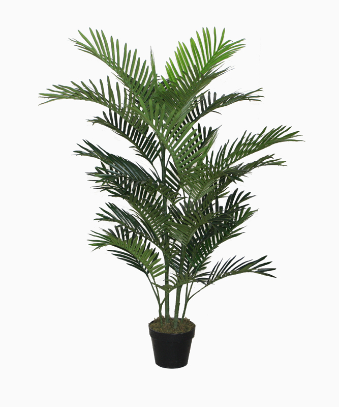 120CM Mini palm
