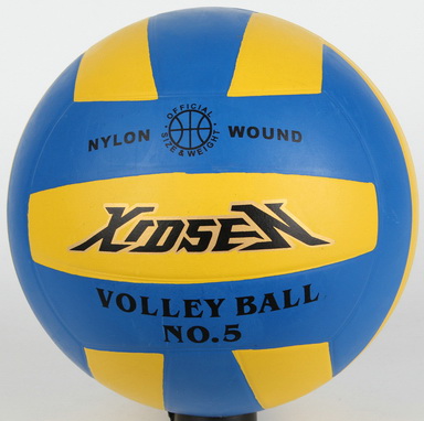 Volleyball