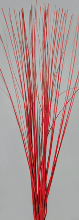 Straight Willow(dry flower;dried flower)