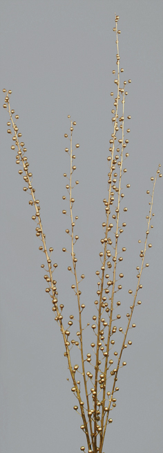 New Vabascum(dry flower;dried flower)