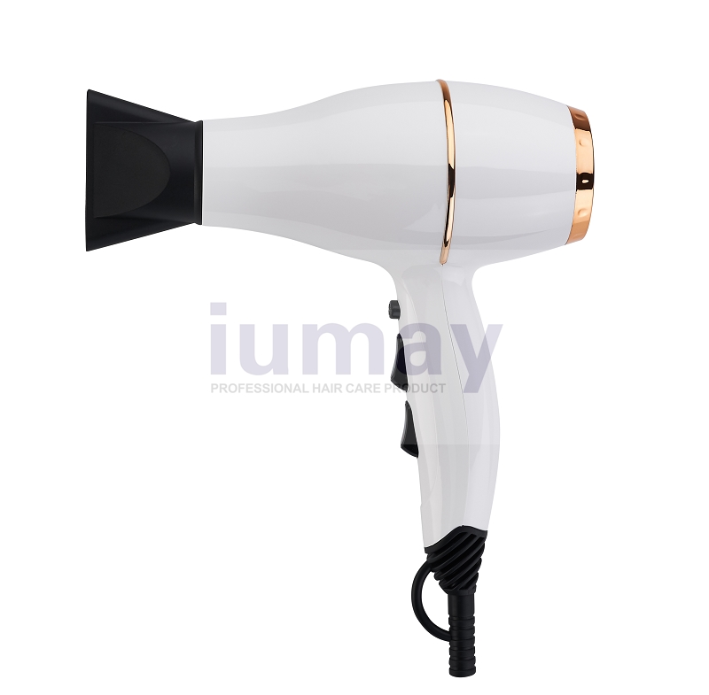 Professional AC Motor Compact Hair Dryer for Salon Use