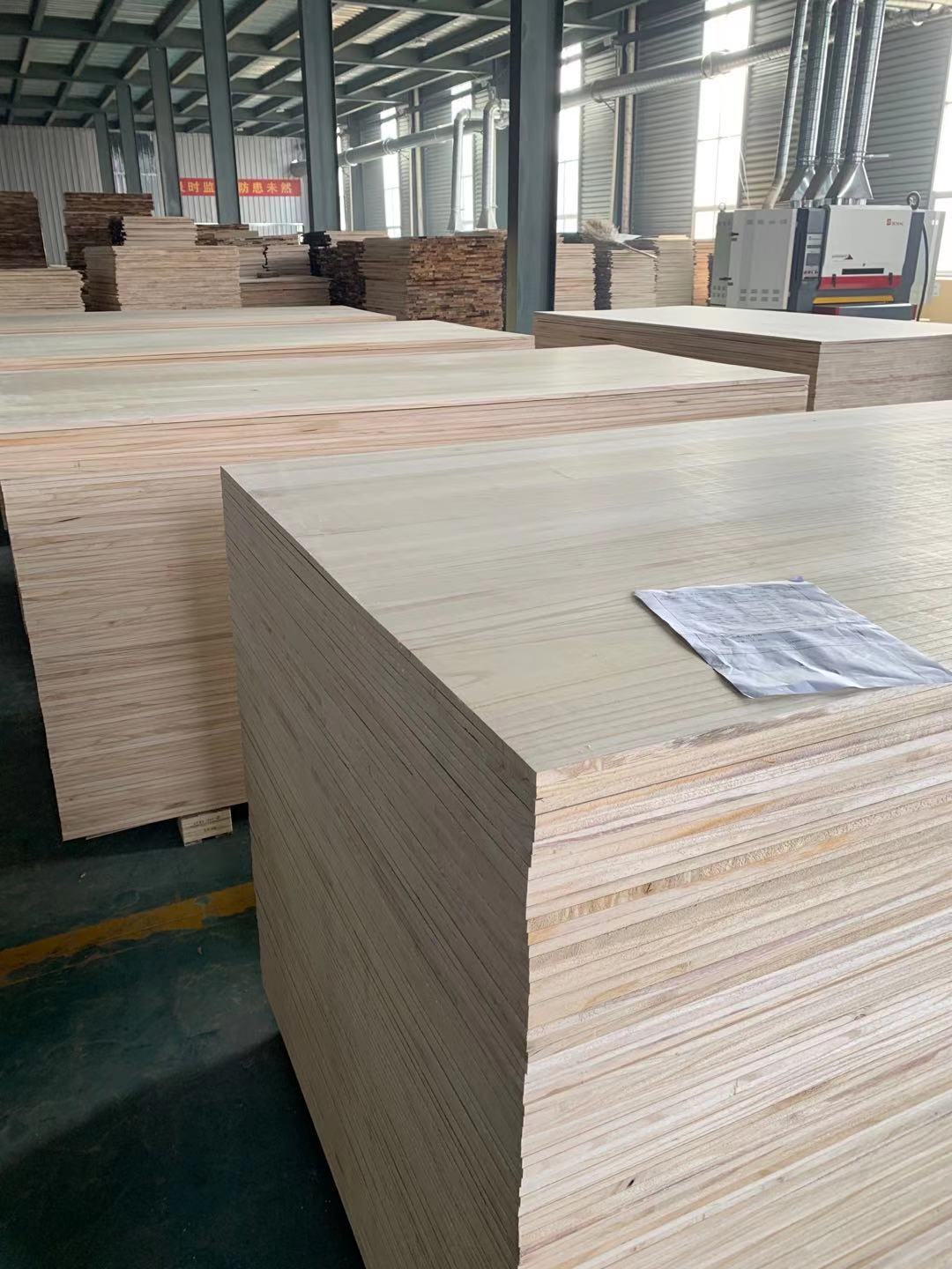 Paulownia Board
