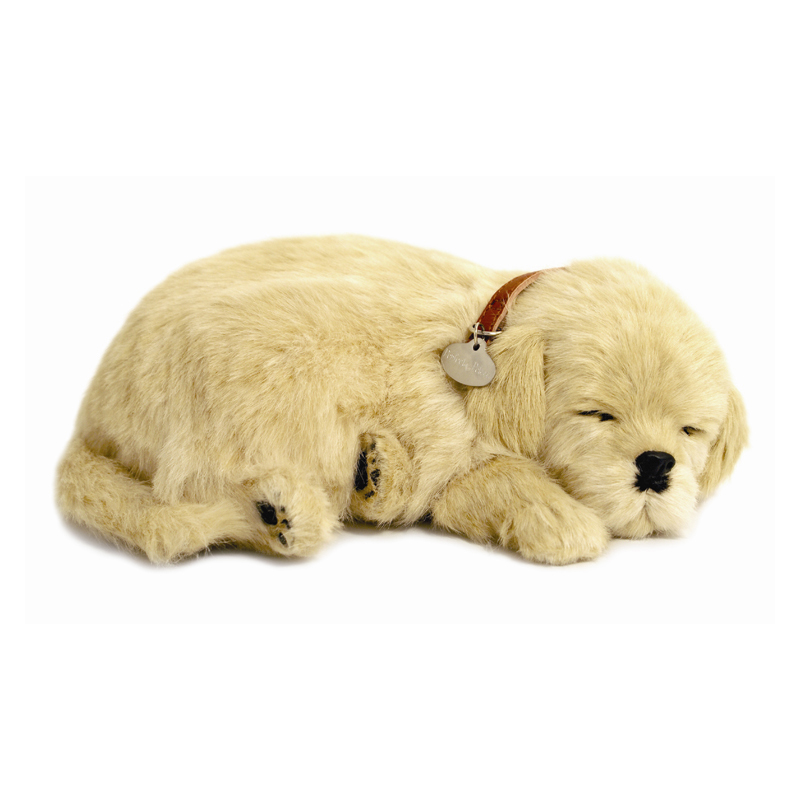 Perfect Petzzz - Golden Retriever