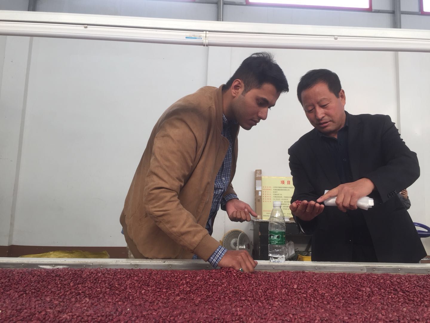Tianzhen County Tonghang Grain Trading Co., Ltd. – red adzuki beans 2