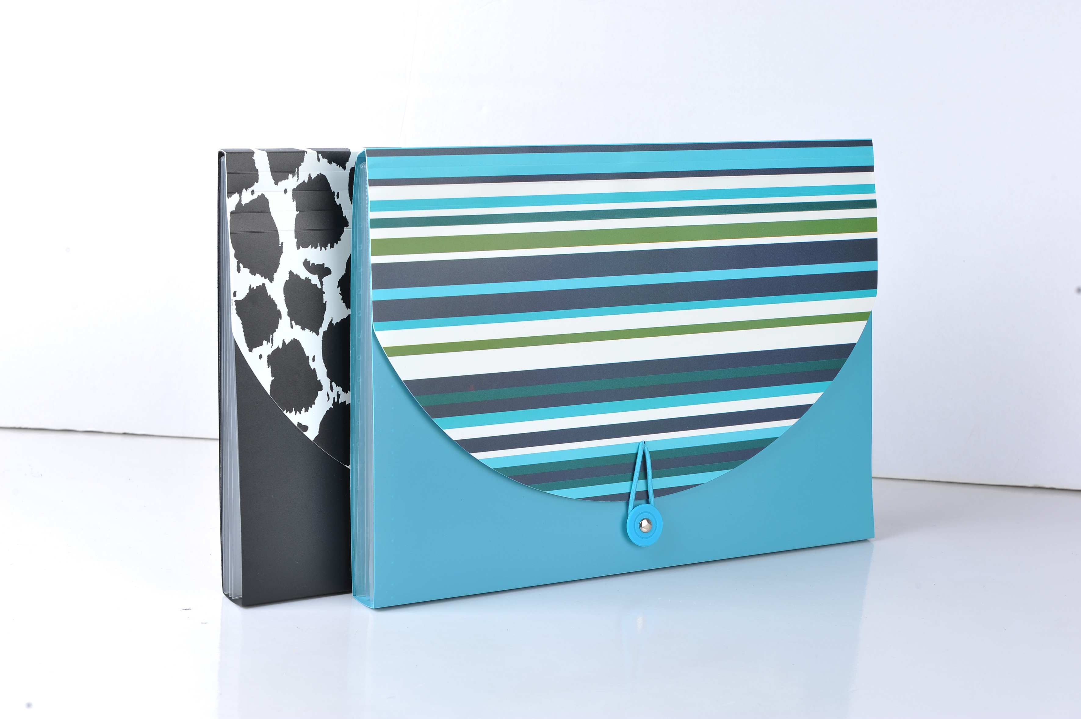 Expanding Folders