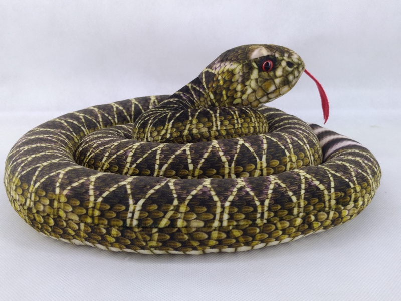 Western diamond rattlesnake