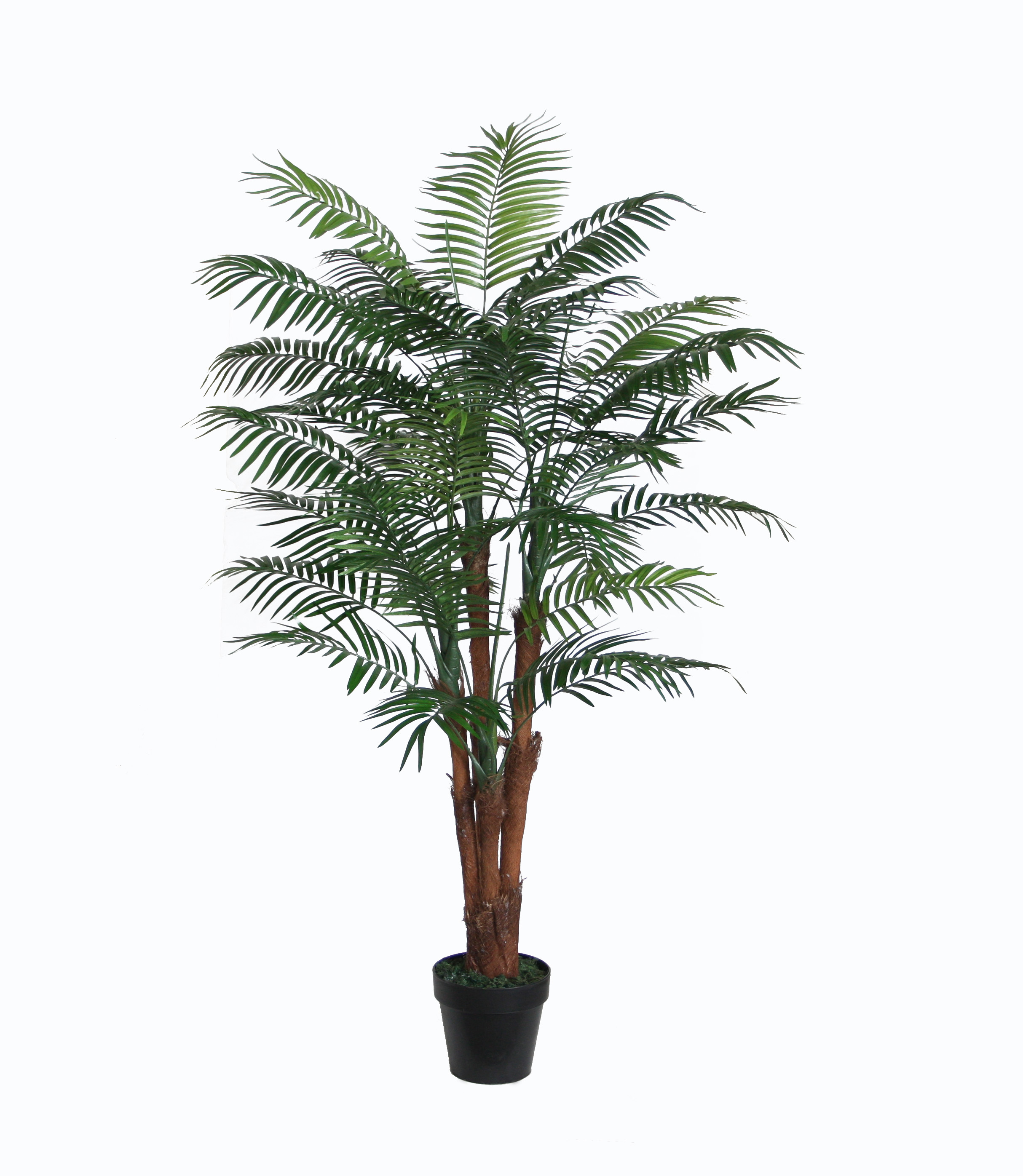 155CM Mini Palm
