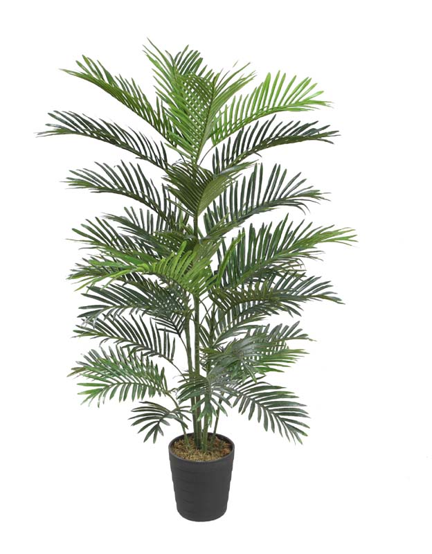 150CM Mini palm
