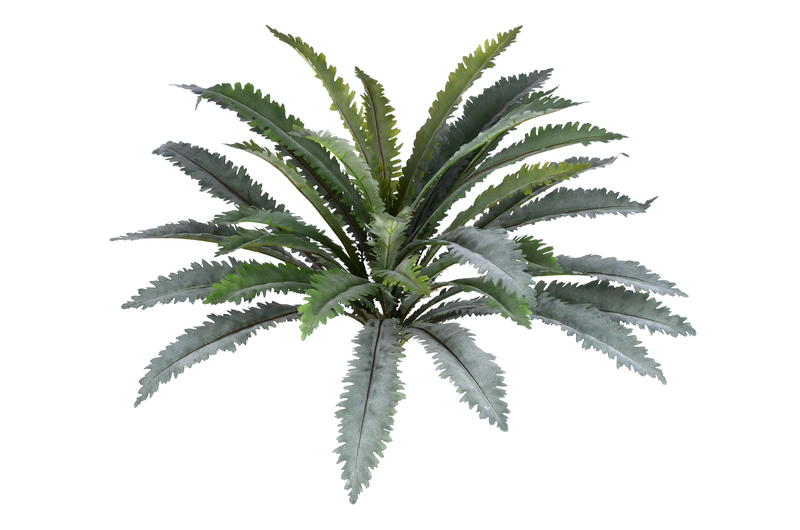 5 stem green leaves bush x33