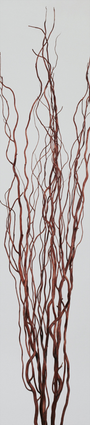 Curly Willow(dry flower;dried flower)