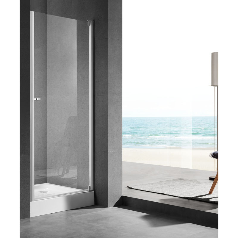 Shower door