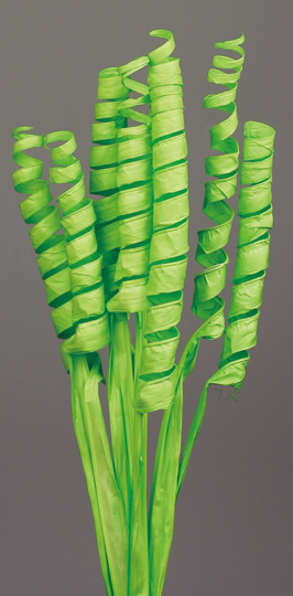 Curly Palm Leaves(dry flower;dried flower)