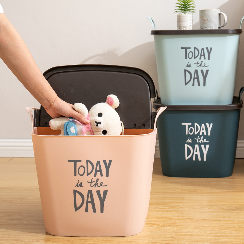 Fashional Storage Hamper with Cover