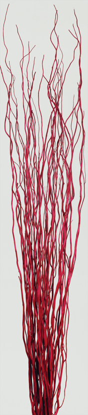 Salix Branch(dry flower;dried flower)