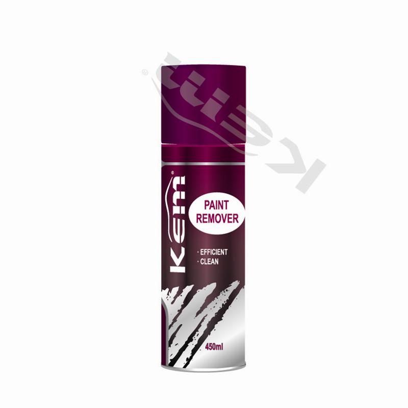 Paint Remover