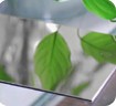 Mirror Aluminum Composite Panel