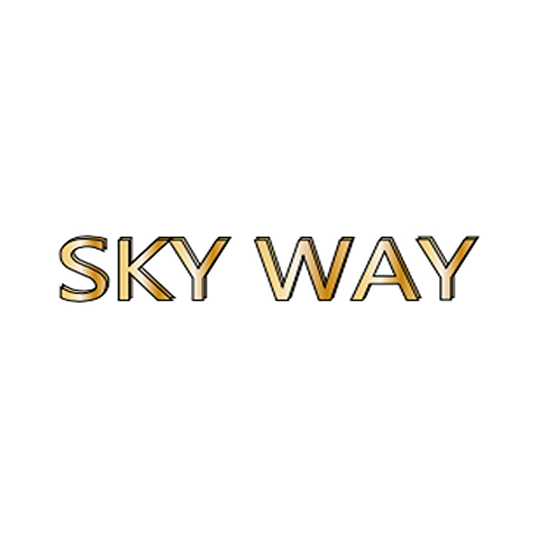 SHENZHEN SKY WAY INDUSTRIAL LIMITED