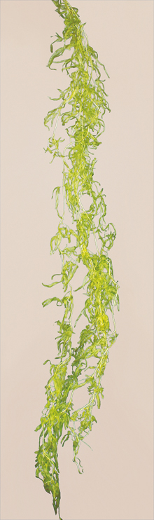 Fern Vine(preserved)(dry flower;dried flower)