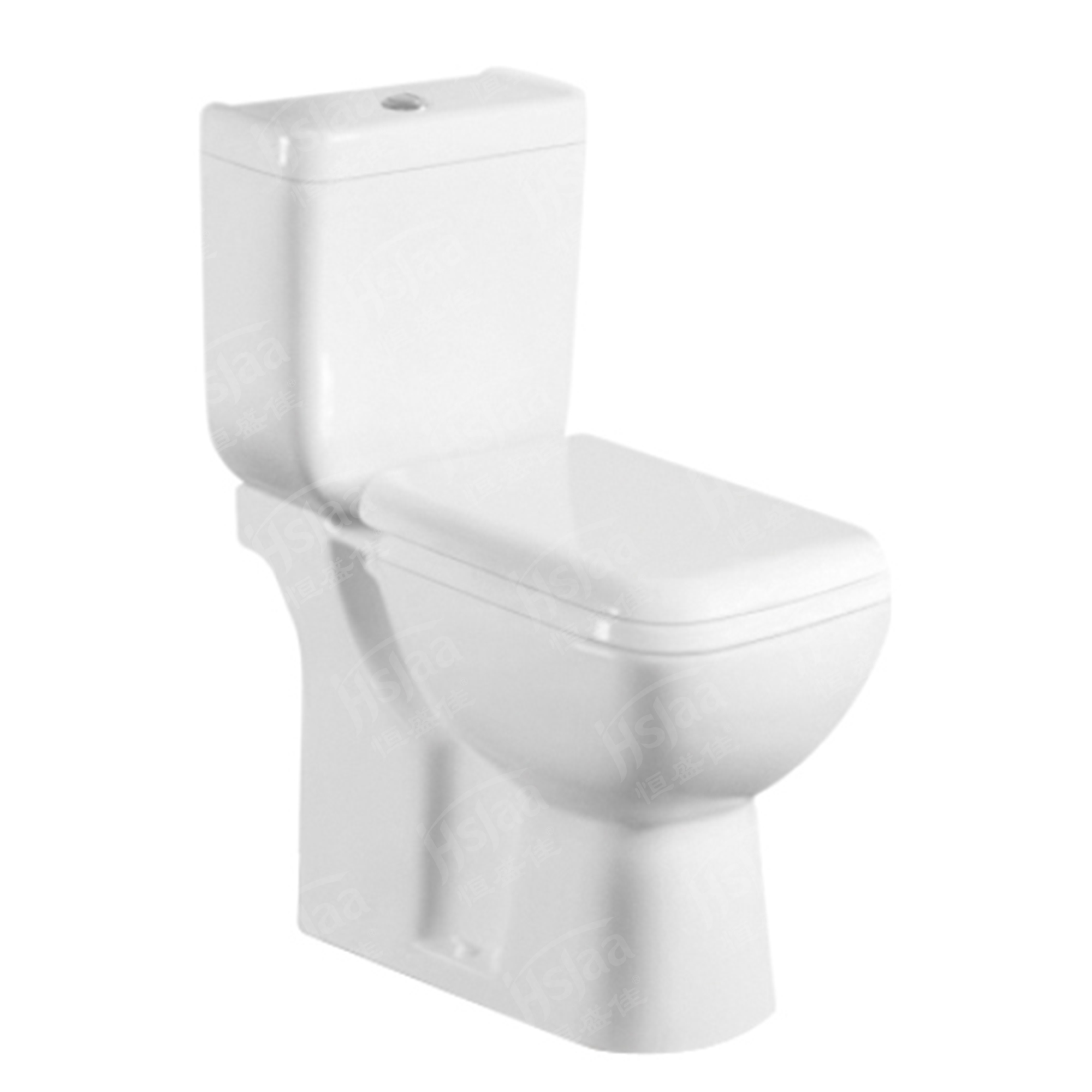 Hot sale Middle East exclusive design washdown two-piece ptrap wc