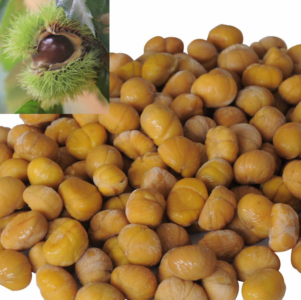 Frozen chestnut kernel