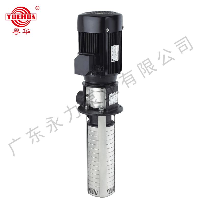 Immersion type Vertical Multi-stage Stainless Steel Pumps