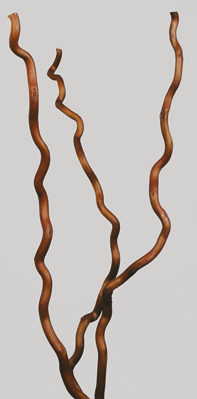 Kuwa Pole(dry flower;dried flower)