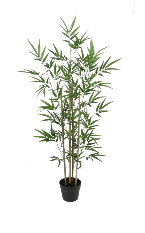 130CM Bamboo Real Stems