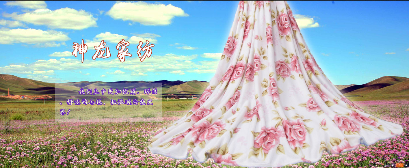 Suqian Shenlong Home Textile Co., Ltd. – Raschel blanket 3