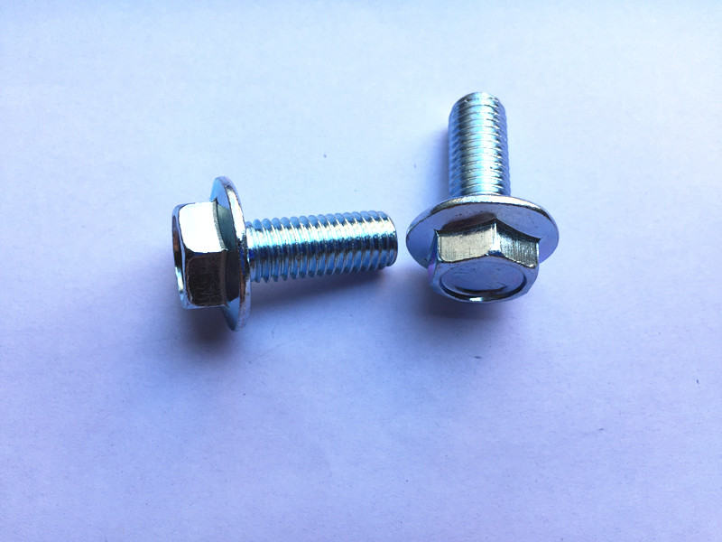 SHANGHAI UCAN IMP& EXP.CO.,LTD – Nut 2