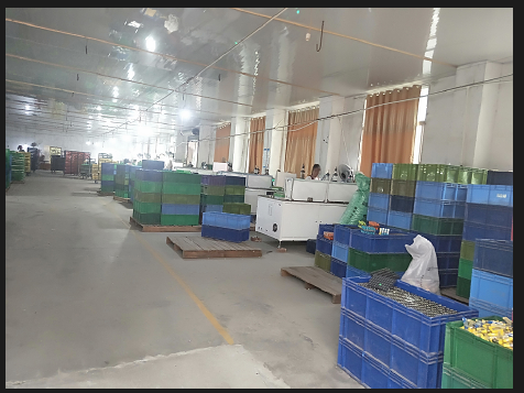 Shaoyang Lotus Lighter Manufacturing Co., Ltd. – Photos produits 2