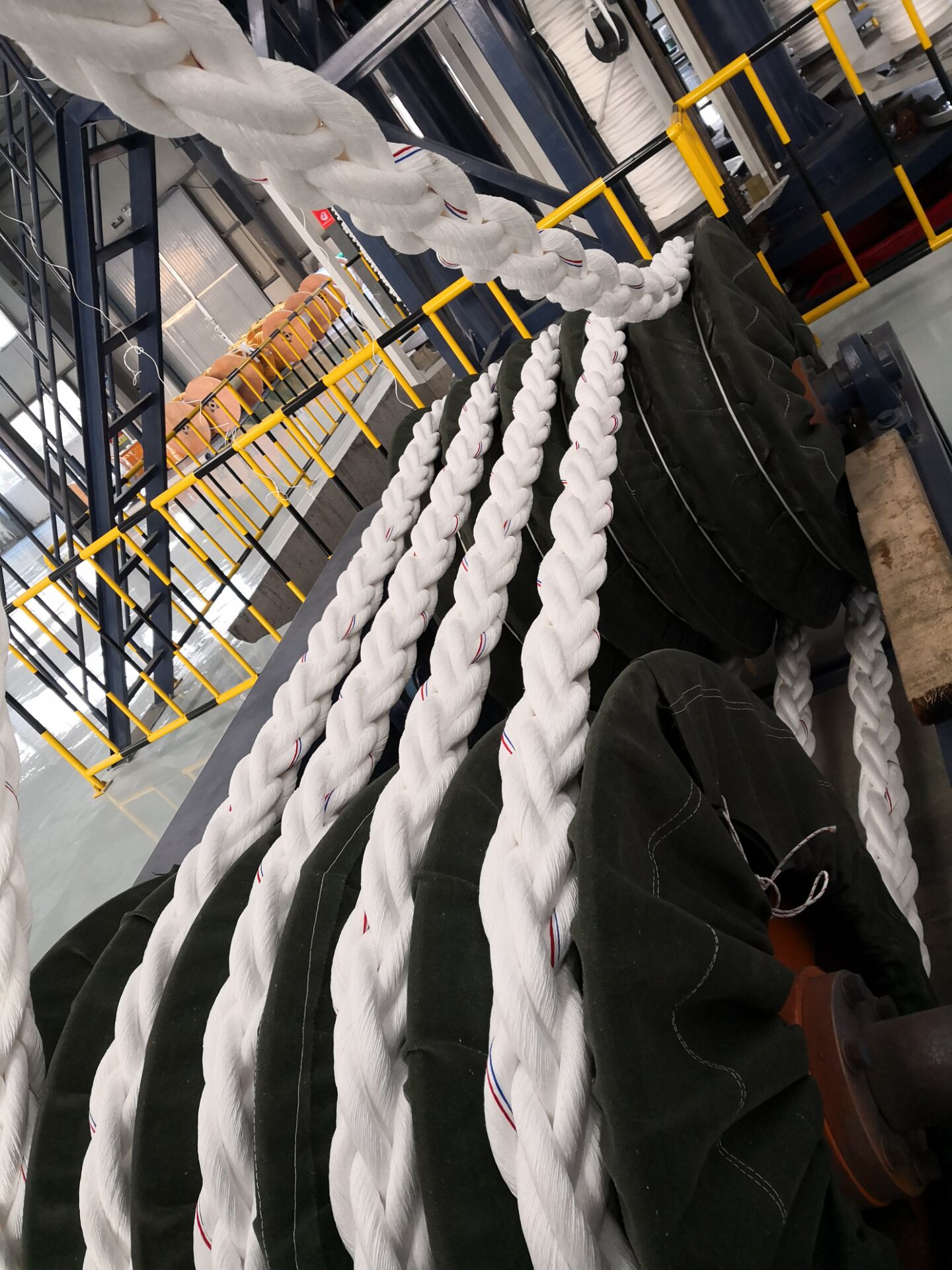 Pp 8strand Danline Rope