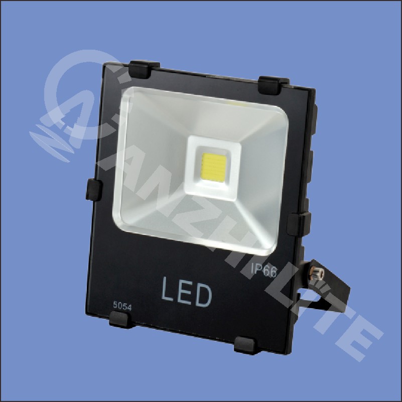 LED Flood Light