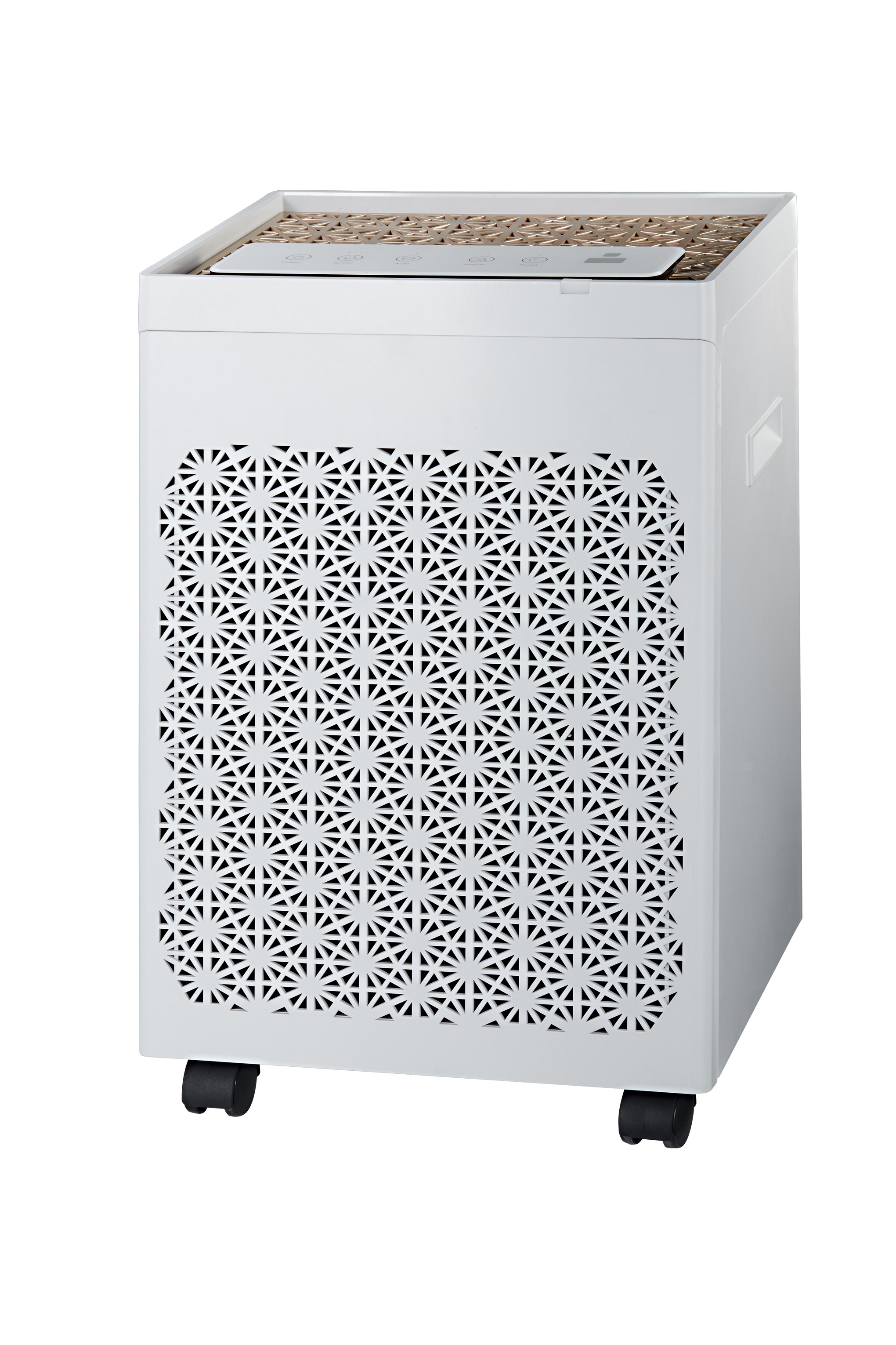 Air Disinfection Product