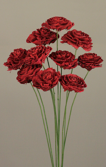 Cedar Rose(dry flower;dried flower)