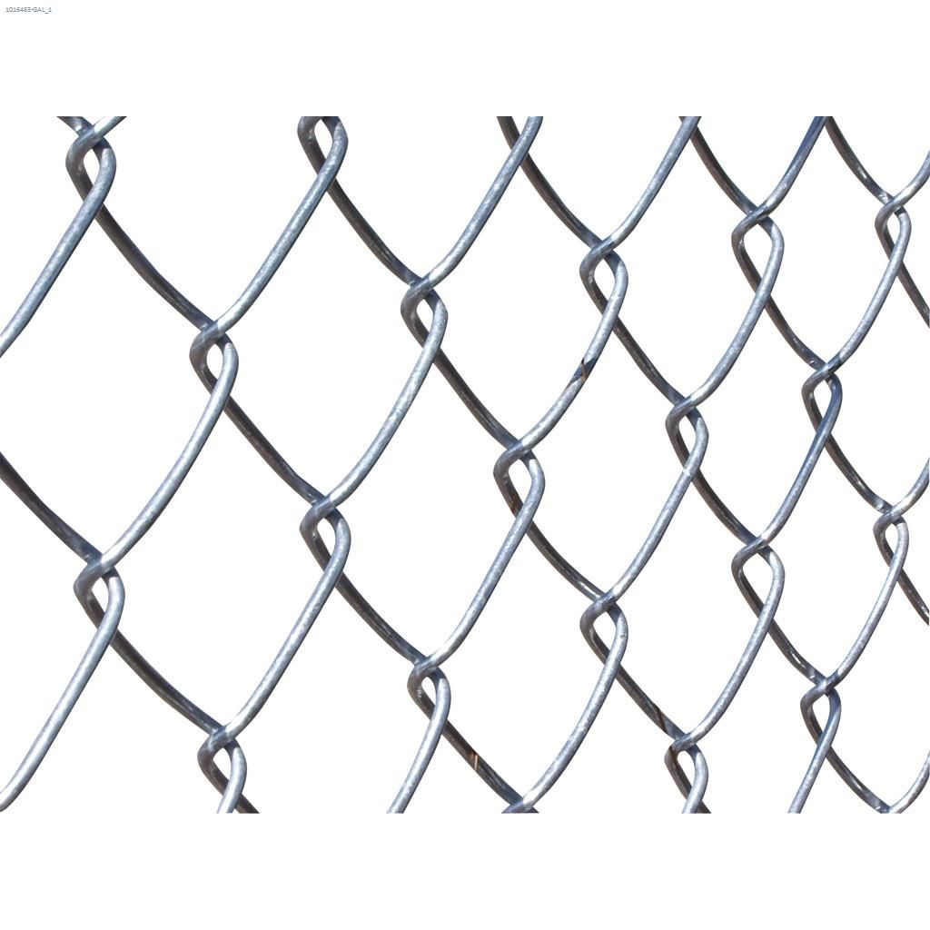 Galvanized chain link fence