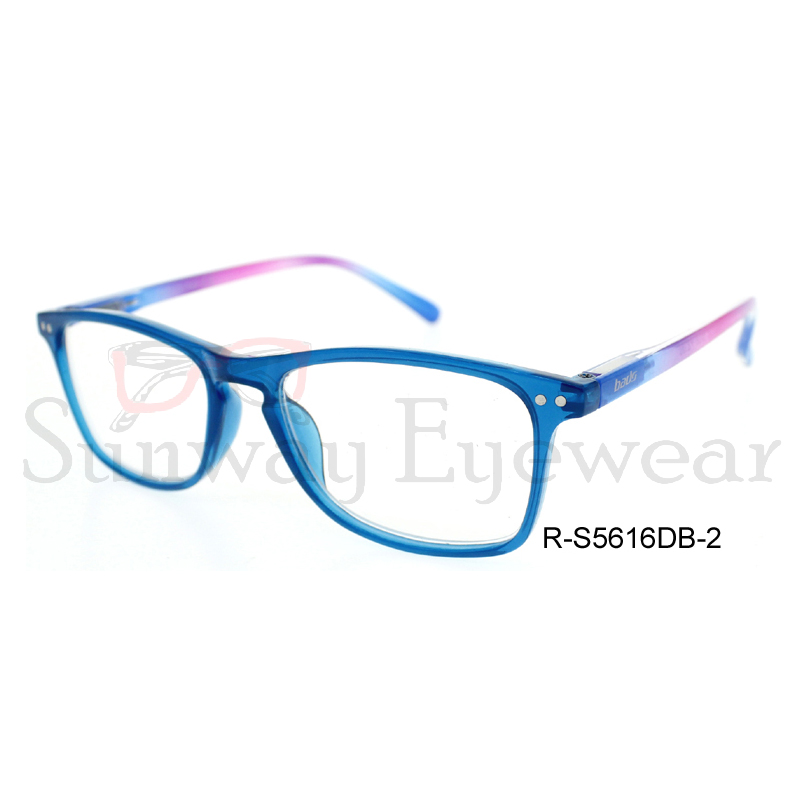 Reading Glasses