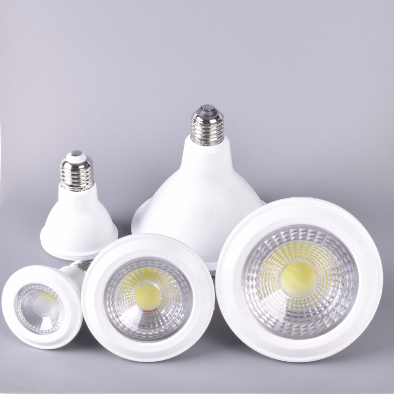 LED Par Light
