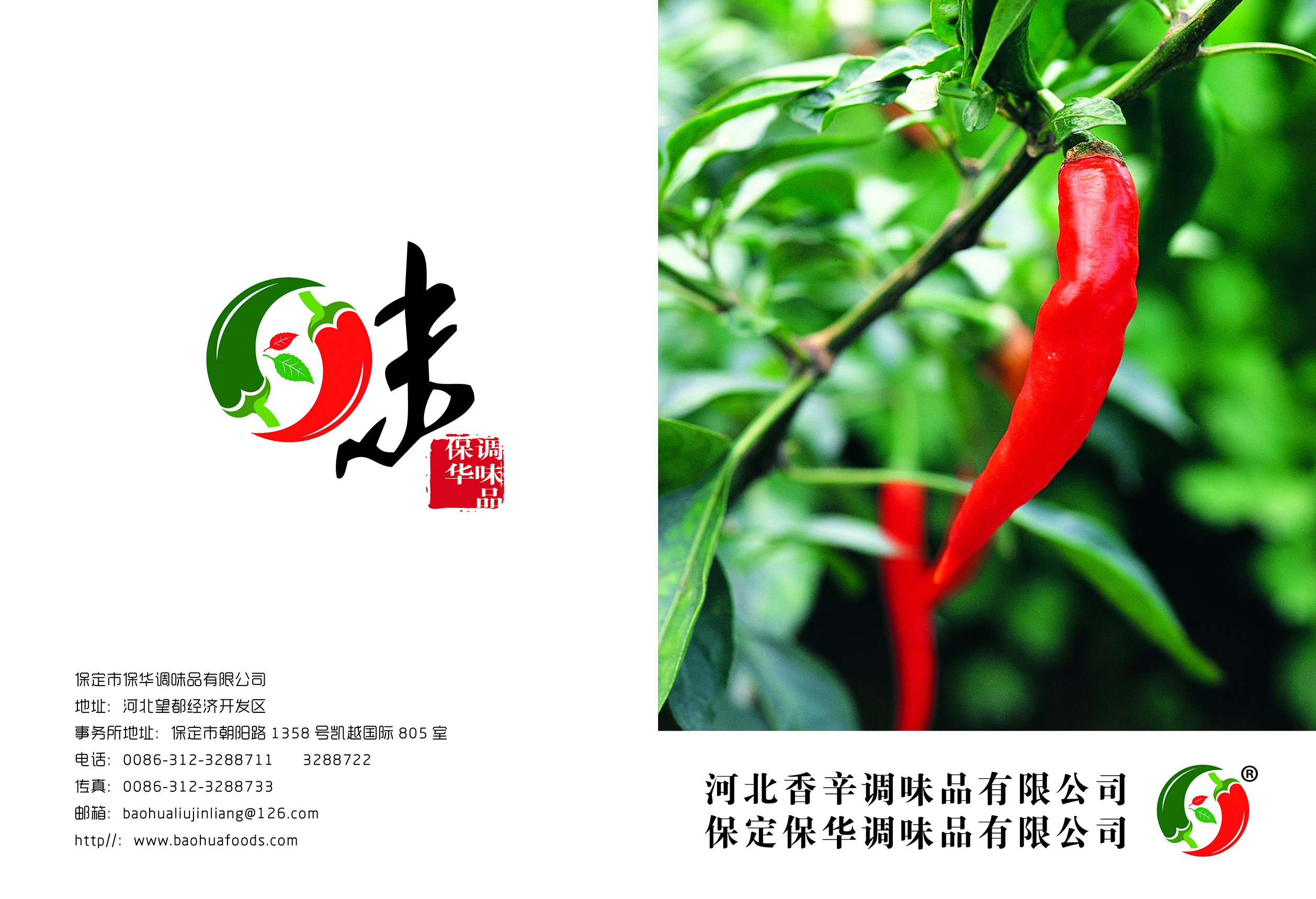 Baoding Baohua Seasoning Co., Ltd. – Photos produits 3