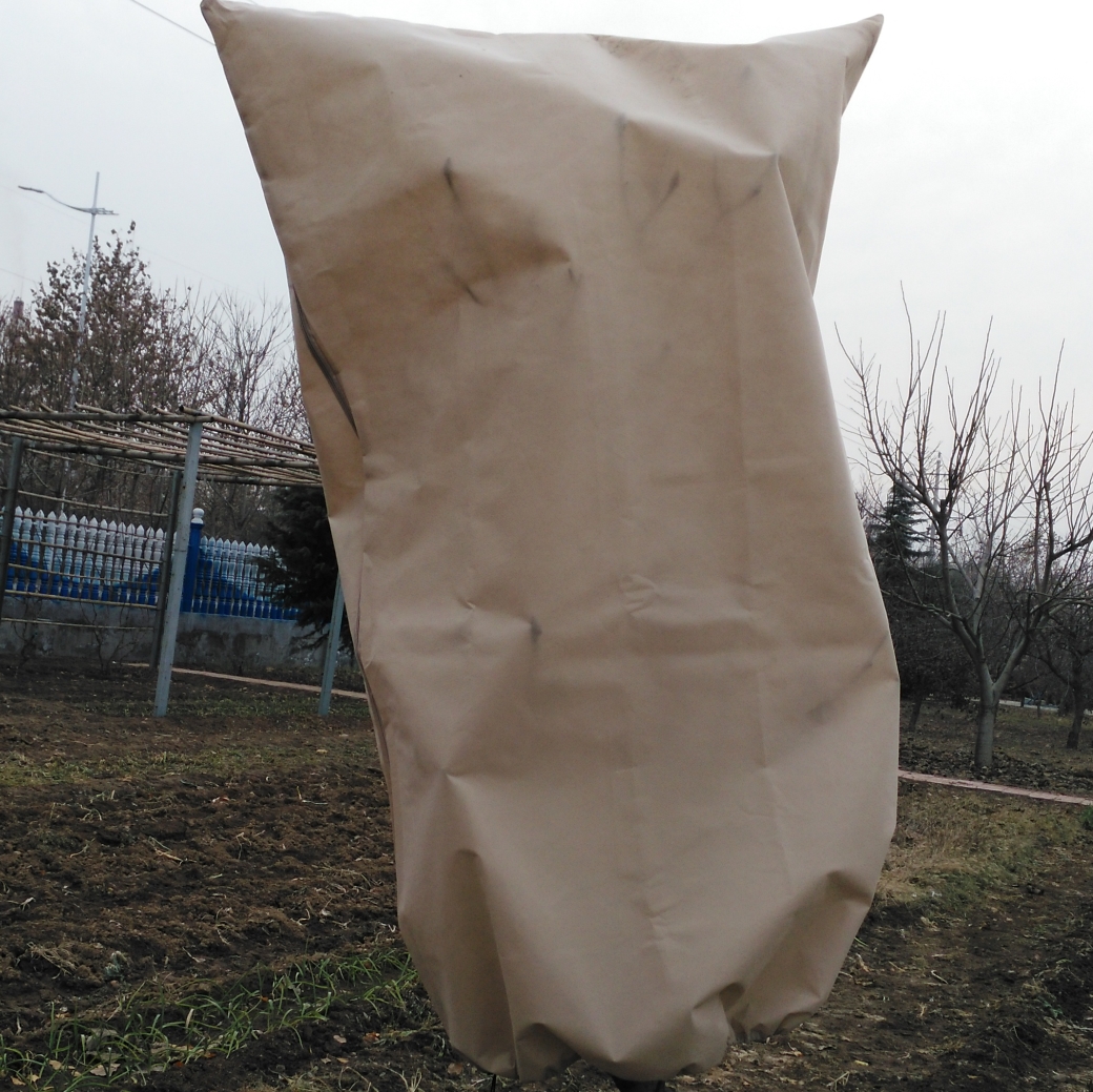 80gsm beige anti UV nonwoven greenhouse cover plant winter jacket breathable fruit bag plant protection cover