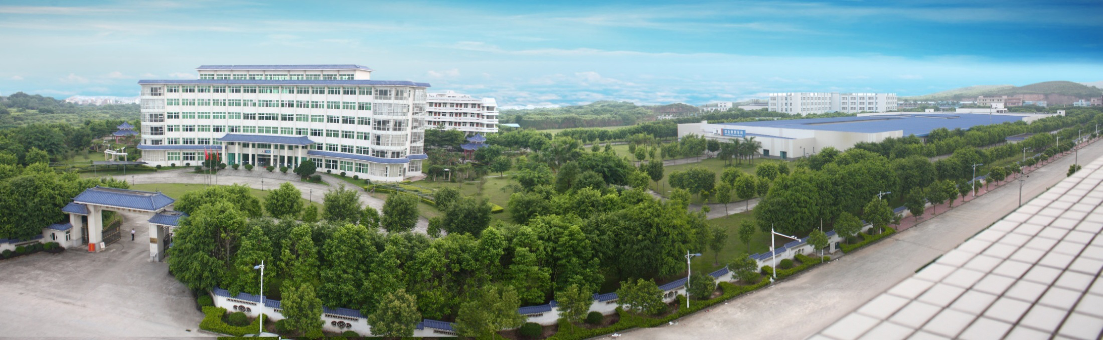 Guangdong New South Artemisia Technology Co., Ltd. – Western medicine 1