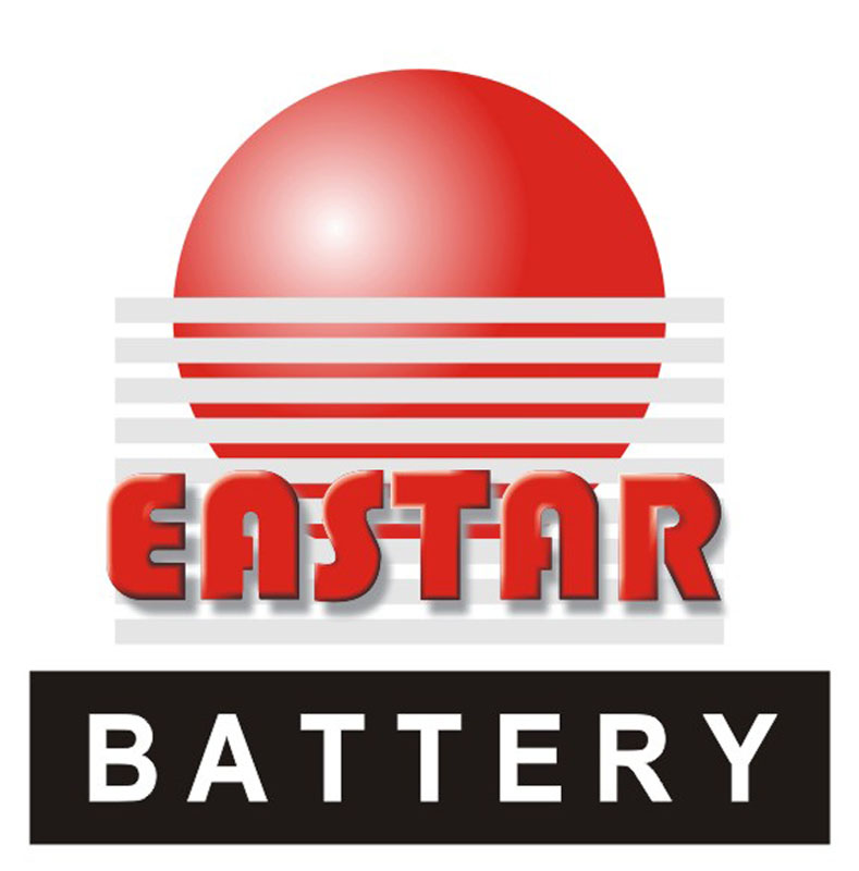 Shenzhen Dongxing Battery Co., Ltd.