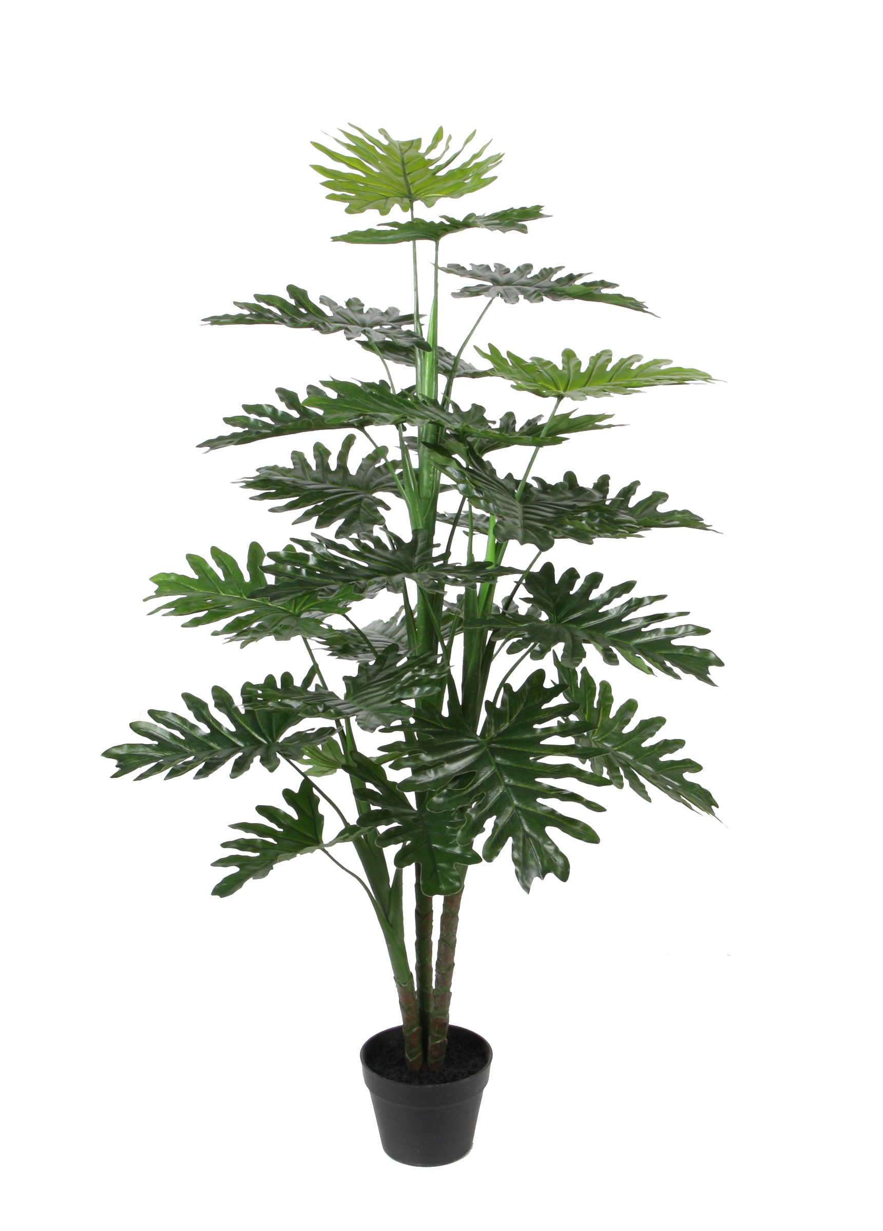 140CM Big Philodendron