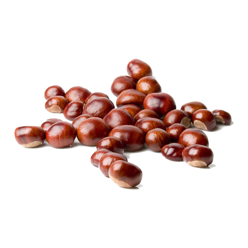 2024 New Crop Organic Fresh Chestnuts