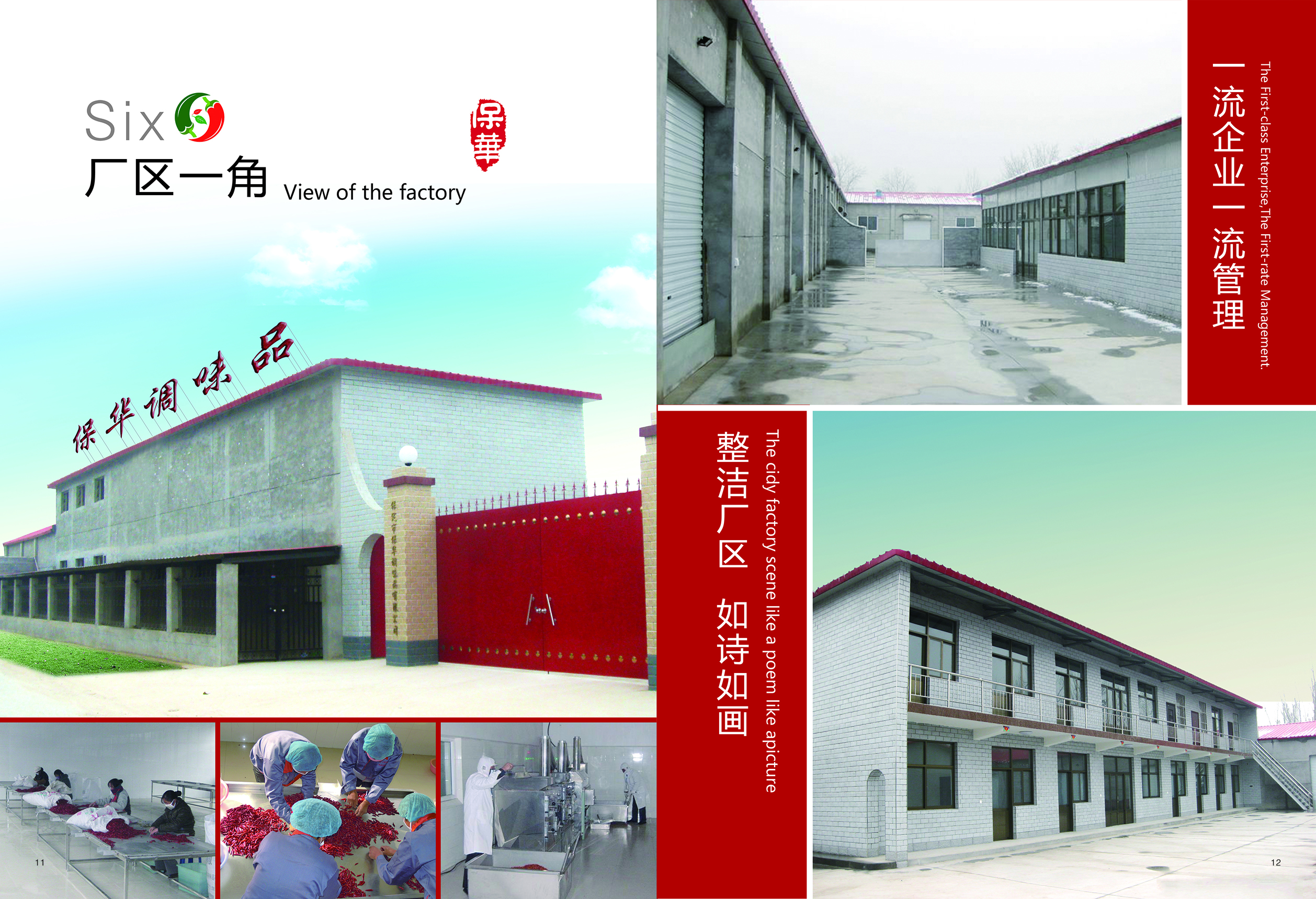 Baoding Baohua Seasoning Co., Ltd. – Other food seasonings 1