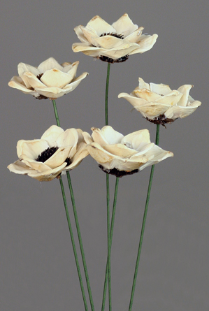 Pine Cone Flower(dry flower;dried flower)