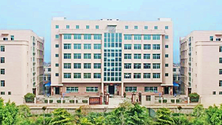 Shantou Shanggraya Beauty Industry Co., Ltd. – Bra 1