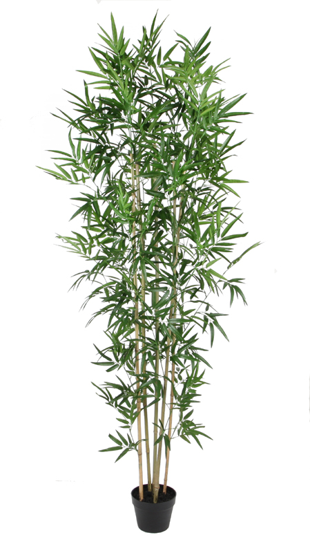 185CM Bamboo Real Stems